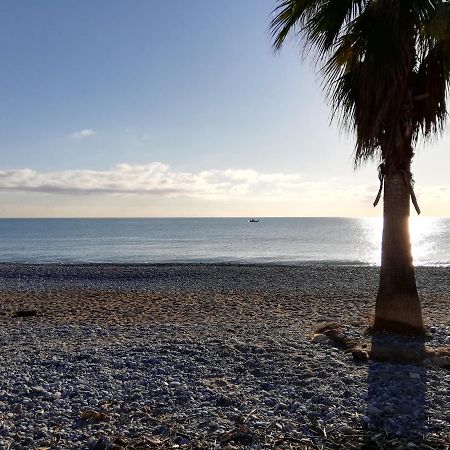 Appartement 2P Et Parking Prive A 50M Des Plages. Villeneuve-Loubet Bagian luar foto