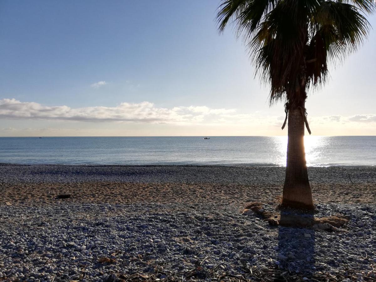 Appartement 2P Et Parking Prive A 50M Des Plages. Villeneuve-Loubet Bagian luar foto